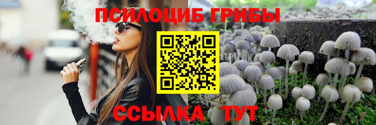 Псилоцибиновые грибы ЛСД Ессентуки